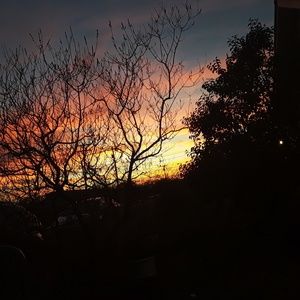 Meet your Posher, Carmen